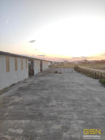 19-İZMİR DİKİLİ BAHÇELİ MAHALLESİNDE DENİZE 3. PARSEL 48.000 M2 İÇERİSİNDE KURULU 4000 BÜYÜKBAŞLIK RUHSATLI ÇİFTLİK
